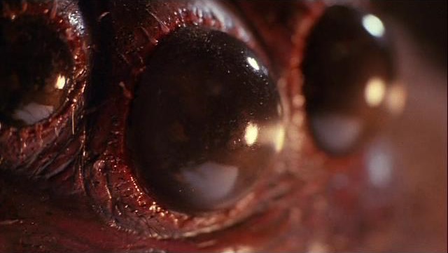 Cinematic Catharsis: Arachnophobia