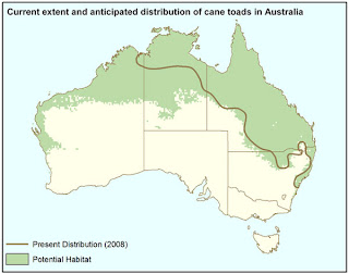 Science: Cane Toads