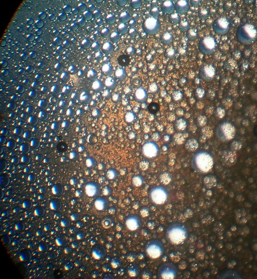 Gastronomie Moléculaire l'exploration scientifique de la cuisine La