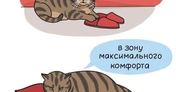 Фирма арт комфорт в тюмени. Даешь комфорт. Даешь комфорт. Даешь комфорт. Даешь комфорт.