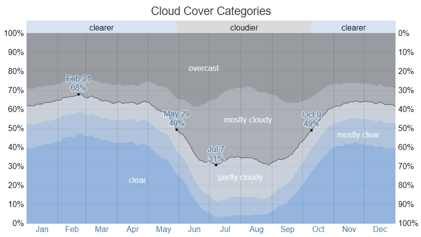 Raptor Resource Project Blog: When will our eagles lay eggs? Bald eagle
