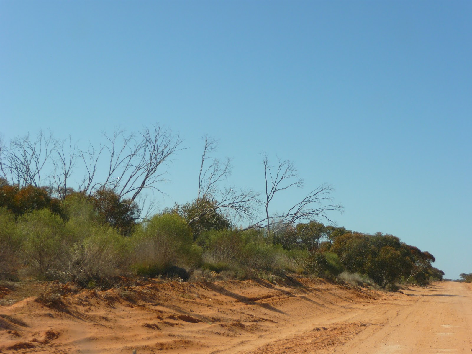 On the Road and at Home Mungo National Park