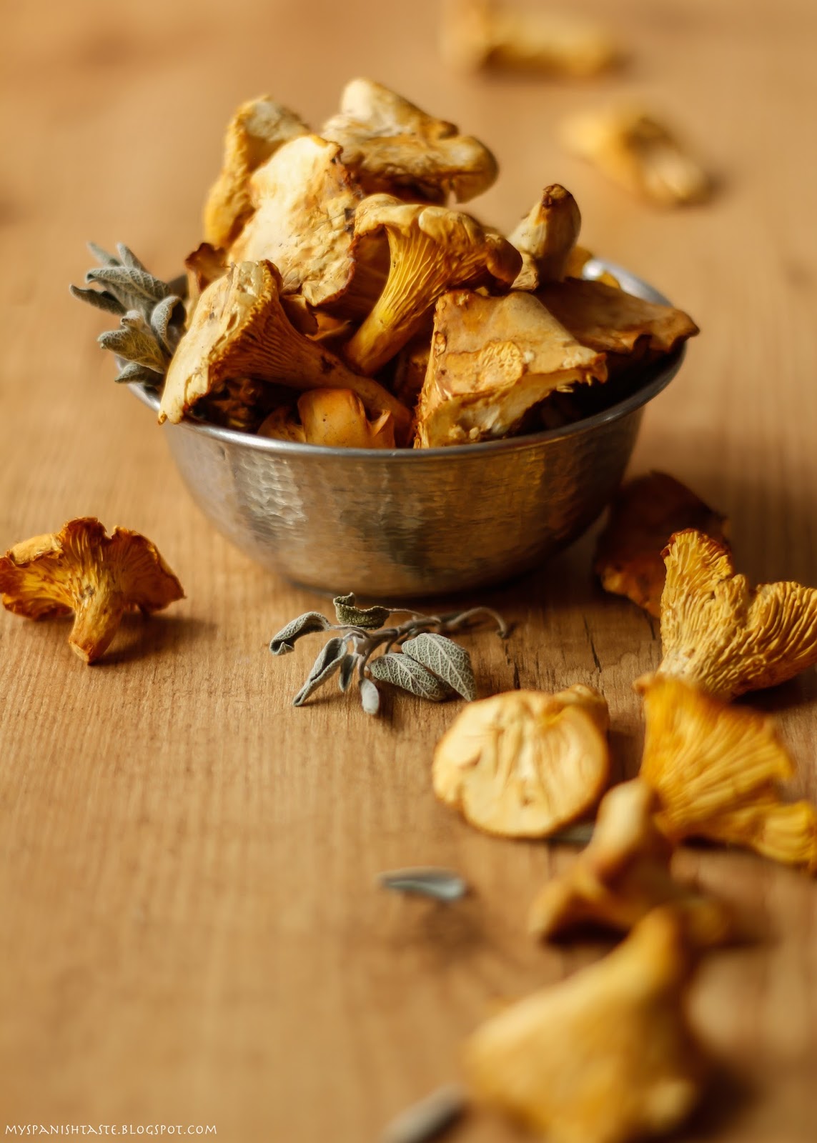 My Spanish Taste Courgettes stuffed with chanterelles and serrano ham