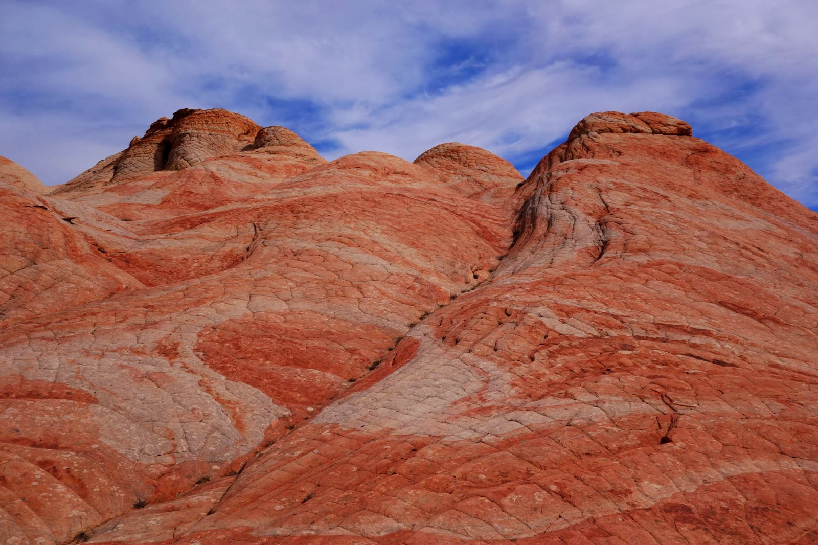 USA2013: Mo., 07.10. Candy Cliffs at Yant Flat