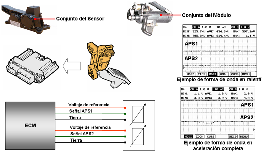 Diagrama Pedal De Acelerador ElectrÃ³nico
