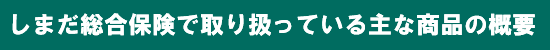 しまだ総合保険で取り扱っている主な商品の概要 しまだ総合保険で取り扱っている主な商品の概要