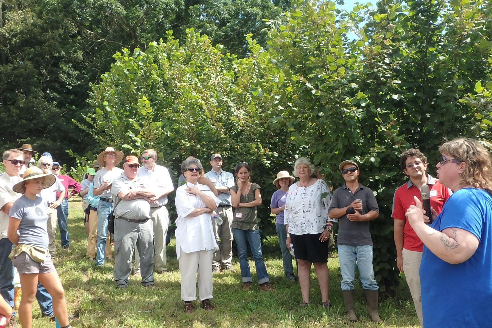 How To Grow Truffles In North Carolina change comin