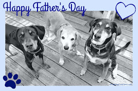 Happy Father's Day to all the Dads, of both 2 and 4 legged kids, from Penny, Sophie & Teutul #FathersDay #RescueDog #AdoptDontShop #LapdogCreations ©LapdogCreations
