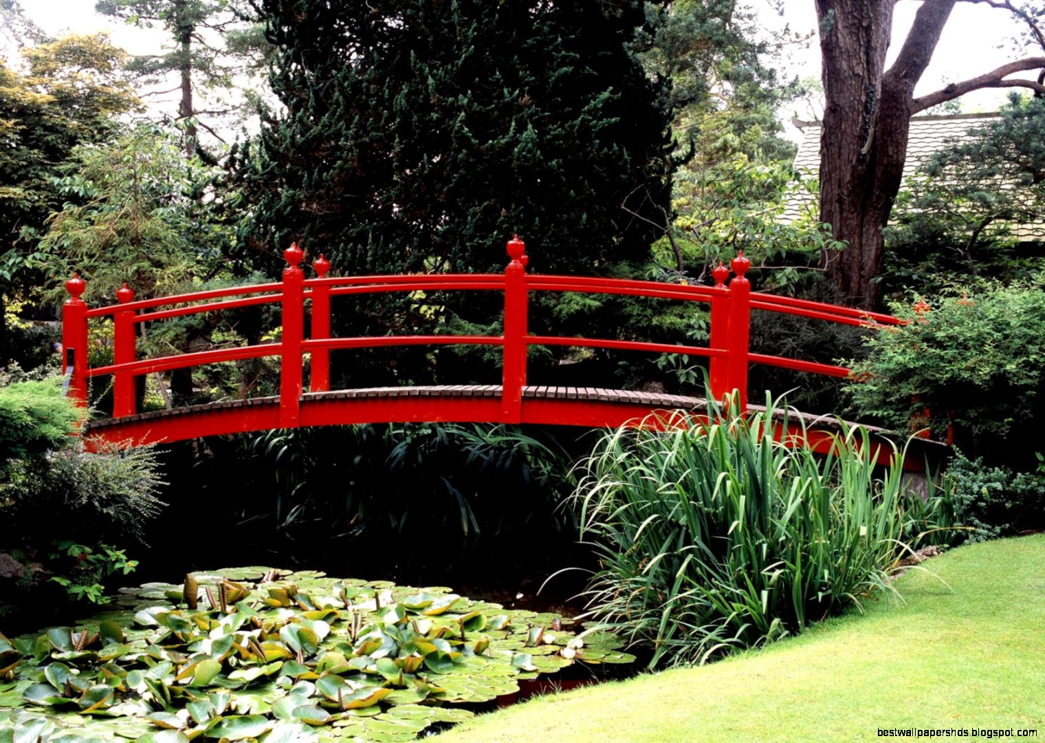 Japanese Garden Bridge