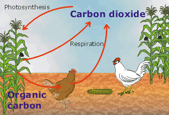 Science Online The Components Of The Earth S Atmosphere And The Importance Of Them