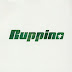 Ruppina - Free Will [Lyrics] - One Piece ED 10