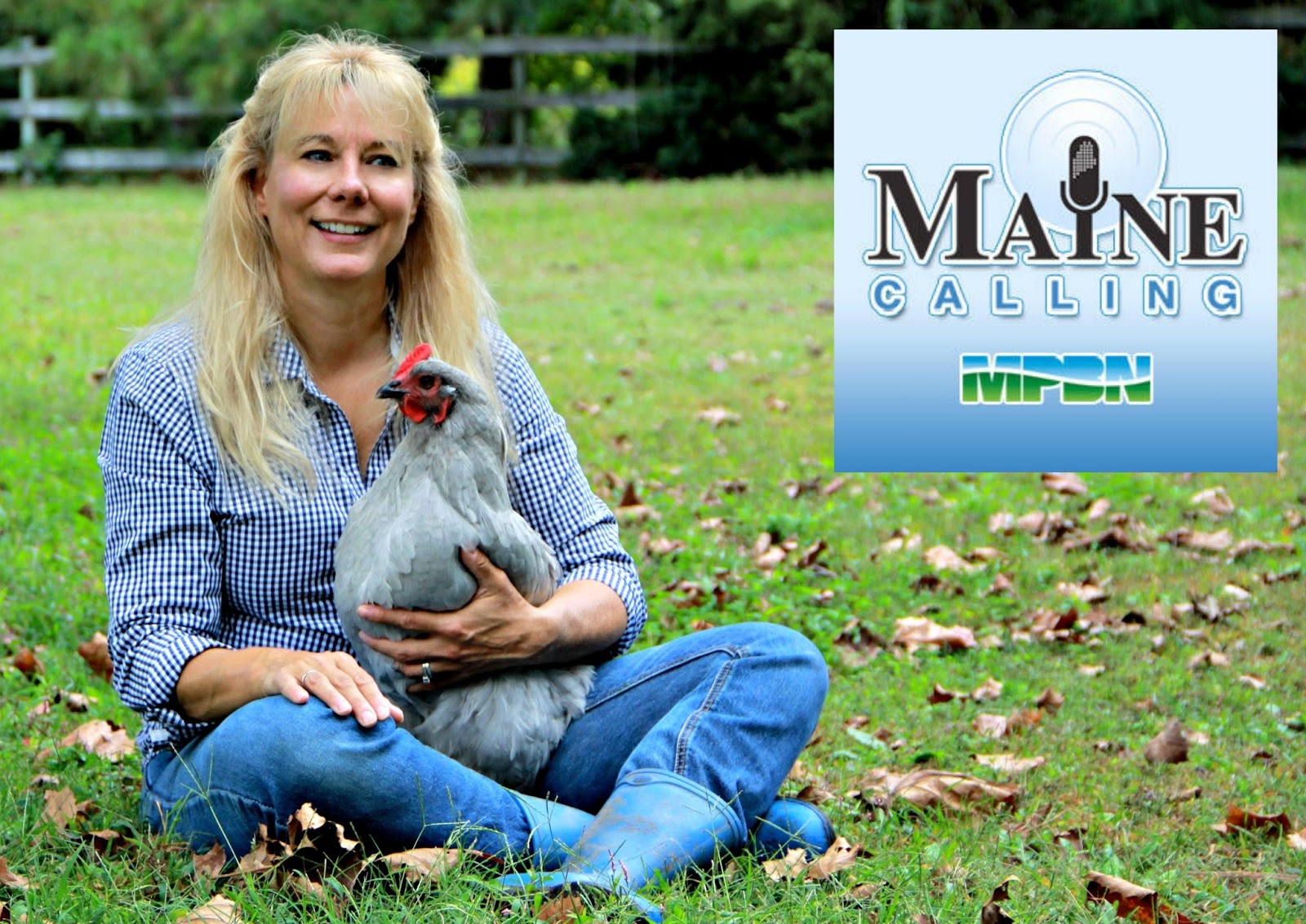 Talking about Raising Backyard Chickens on NPR Fresh Eggs Daily® with