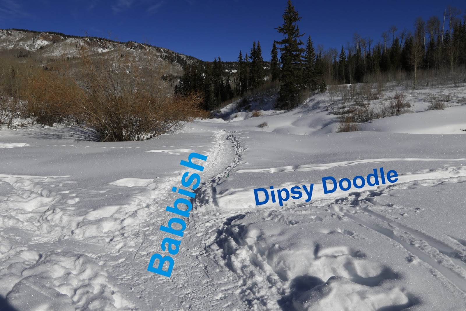 Dipsy Doodle
