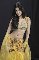 Shruti, hassan, deep, navel, photos, and, milky, cleavage, images
