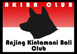 Anjing Kintamani Bali Club