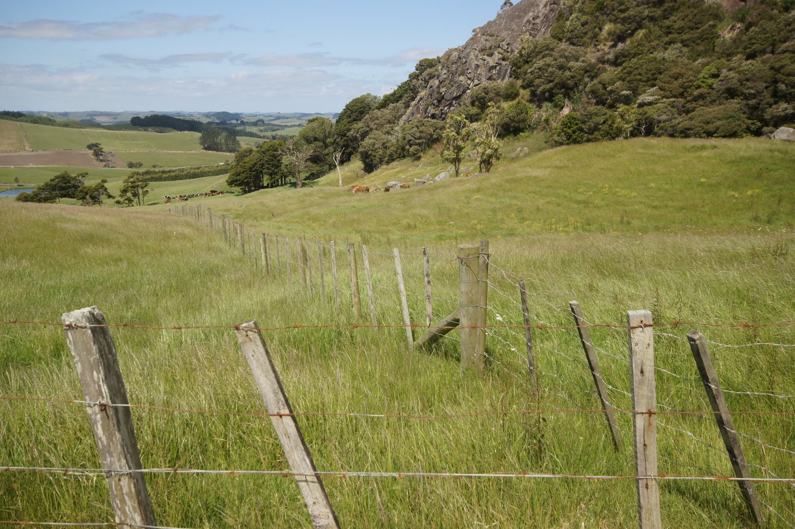 Magi and Sam: Maungaraho Rock south of Dargaville...recommended for ...