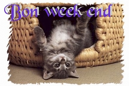 Images pour blogs et Facebook: Bon week-end avec votre chat