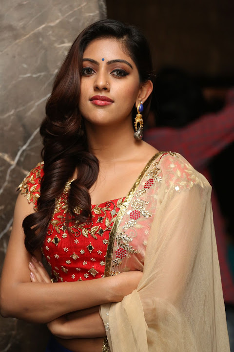 Anu Emmanuel at Majnu Audio launch 7
