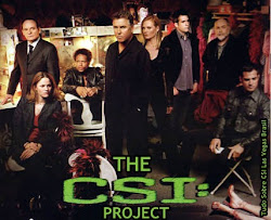 THE CSI PROJECT