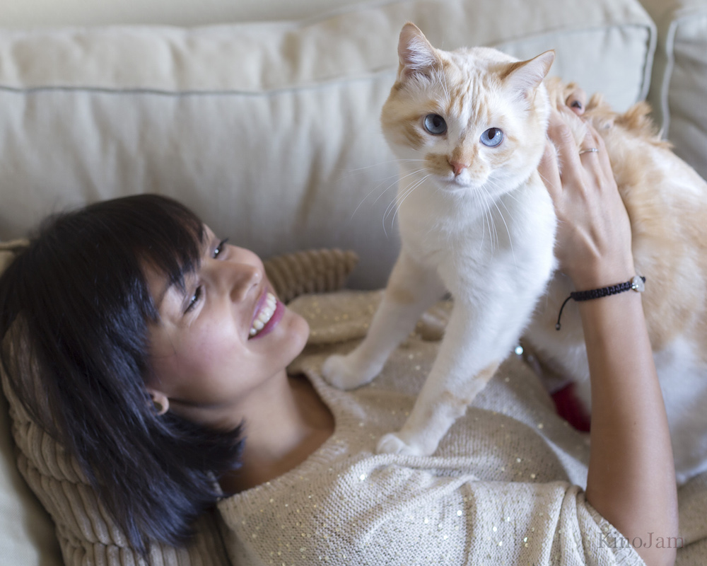 Gsto Misho Somos Cat Lovers