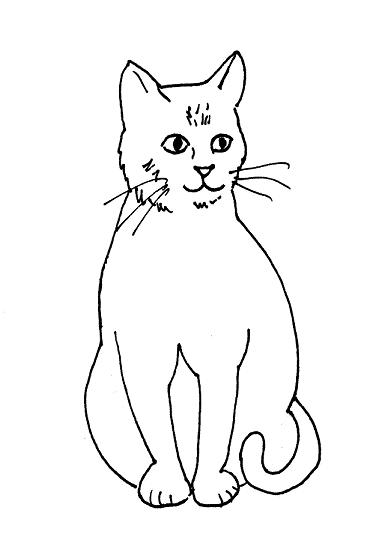 download cat drawing download cat drawing