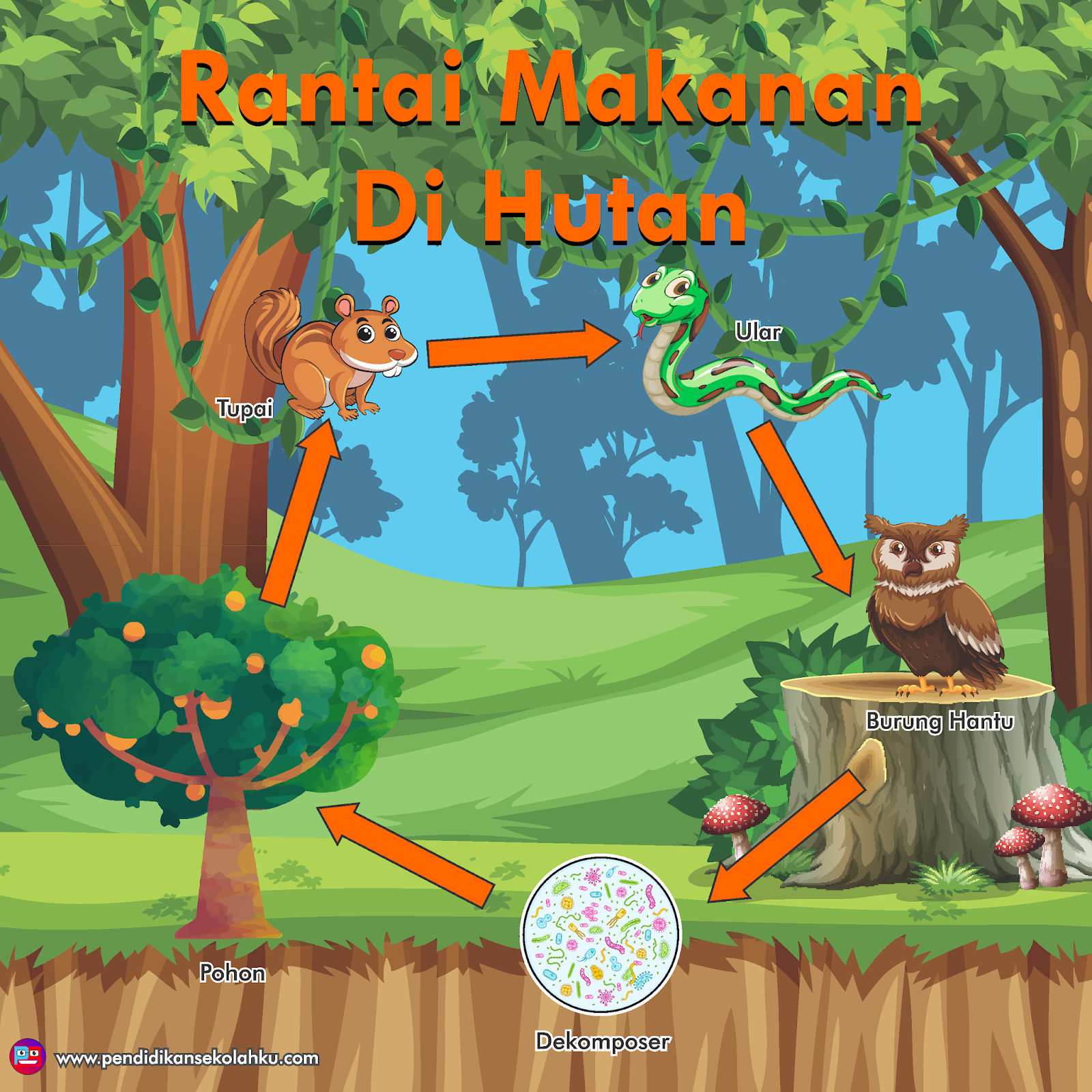 Detail Rantai Makanan Di Hutan, Penjelasan Dan Contohnya