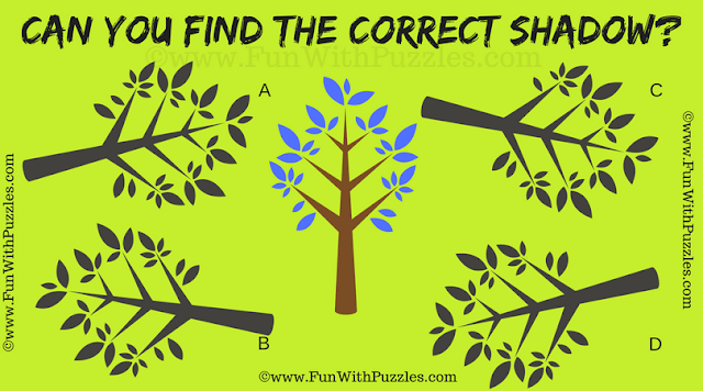 Tough Visual Puzzle and Answer for Adults | Shadow Puzzle