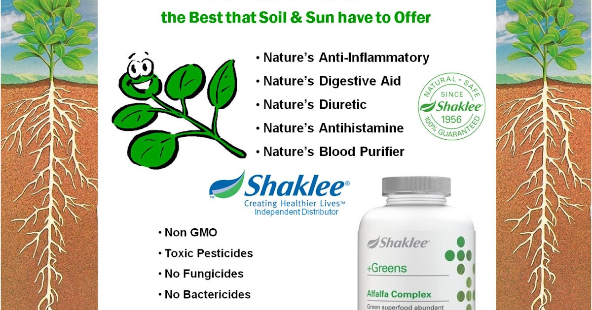 BeBarefoot Shaklee Alfalfa The Green Superfood