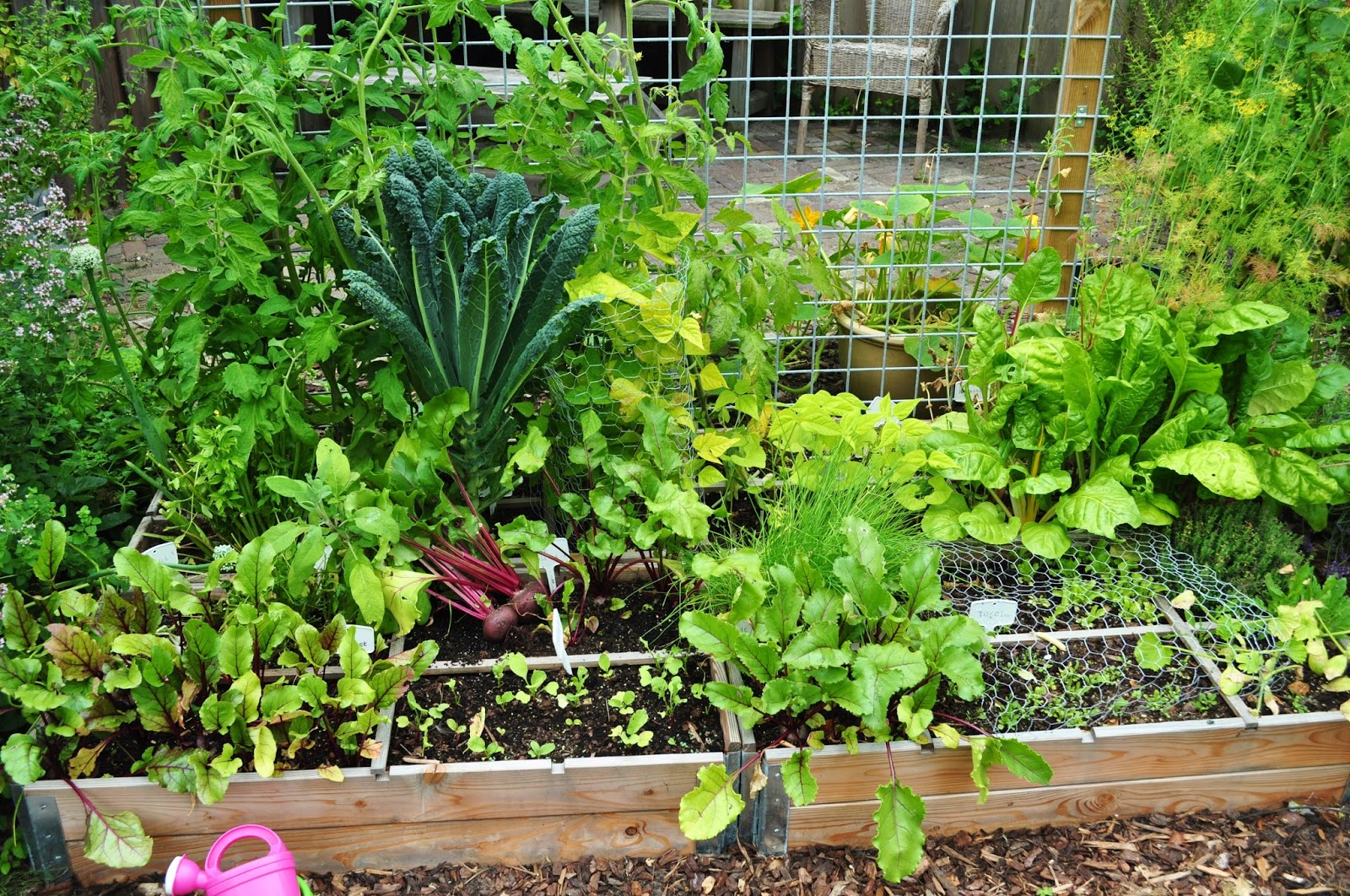 't Bezige Bijtje: Tuin, moestuin en lekker eten!