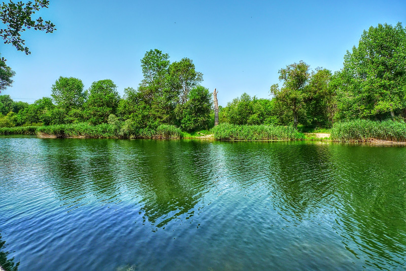 Цветно..... с Пепеляшка: УСТИЕТО на Река ВЕЛЕКА