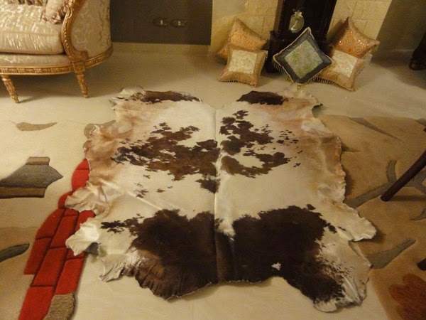 Decorate house with skins