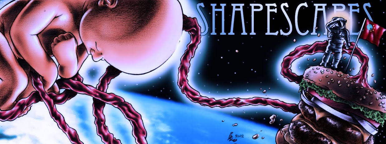 Shapescapes