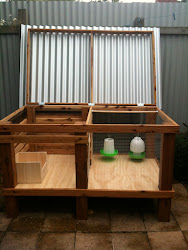 chicken brooder chickens chicks box pen coop garden ducklings hen raising coops quail whatever broody diy hutch chick houses kind