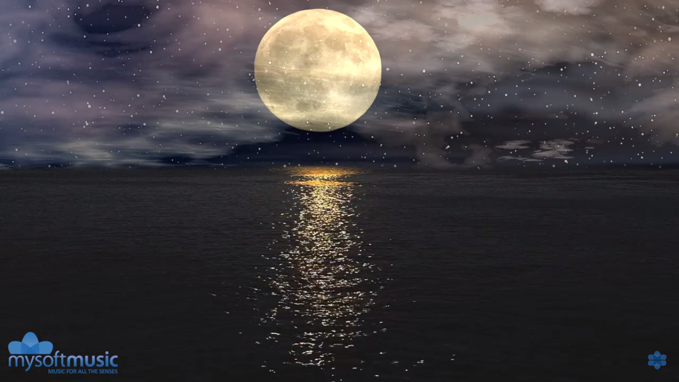 Слушать песню луна светила. Звезды над морем. Ночь в море. Луна. Луна и море.