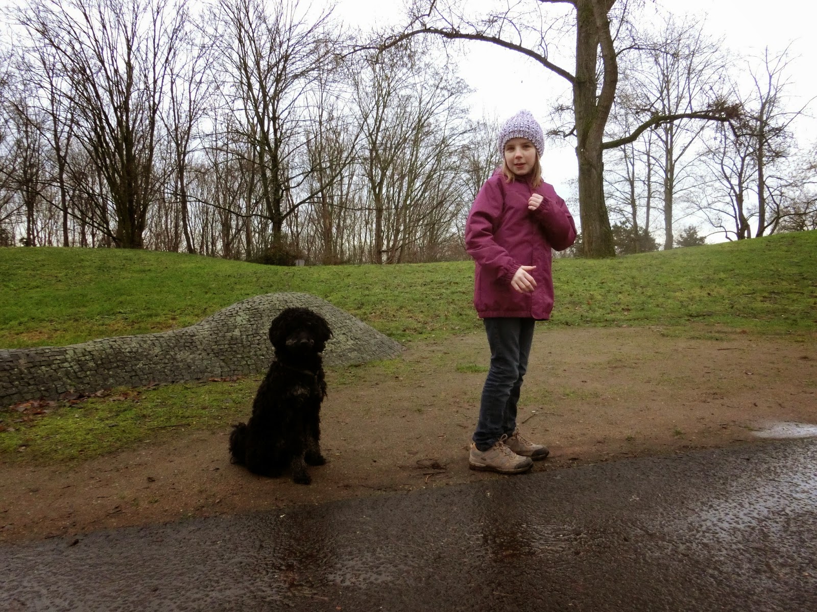 Der Pfotenblog Rund um den Hund Blitzstart