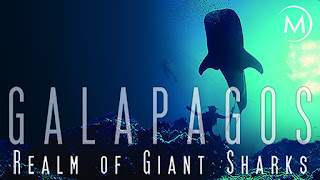 Documental Galápagos Reino de tiburones gigantes Online