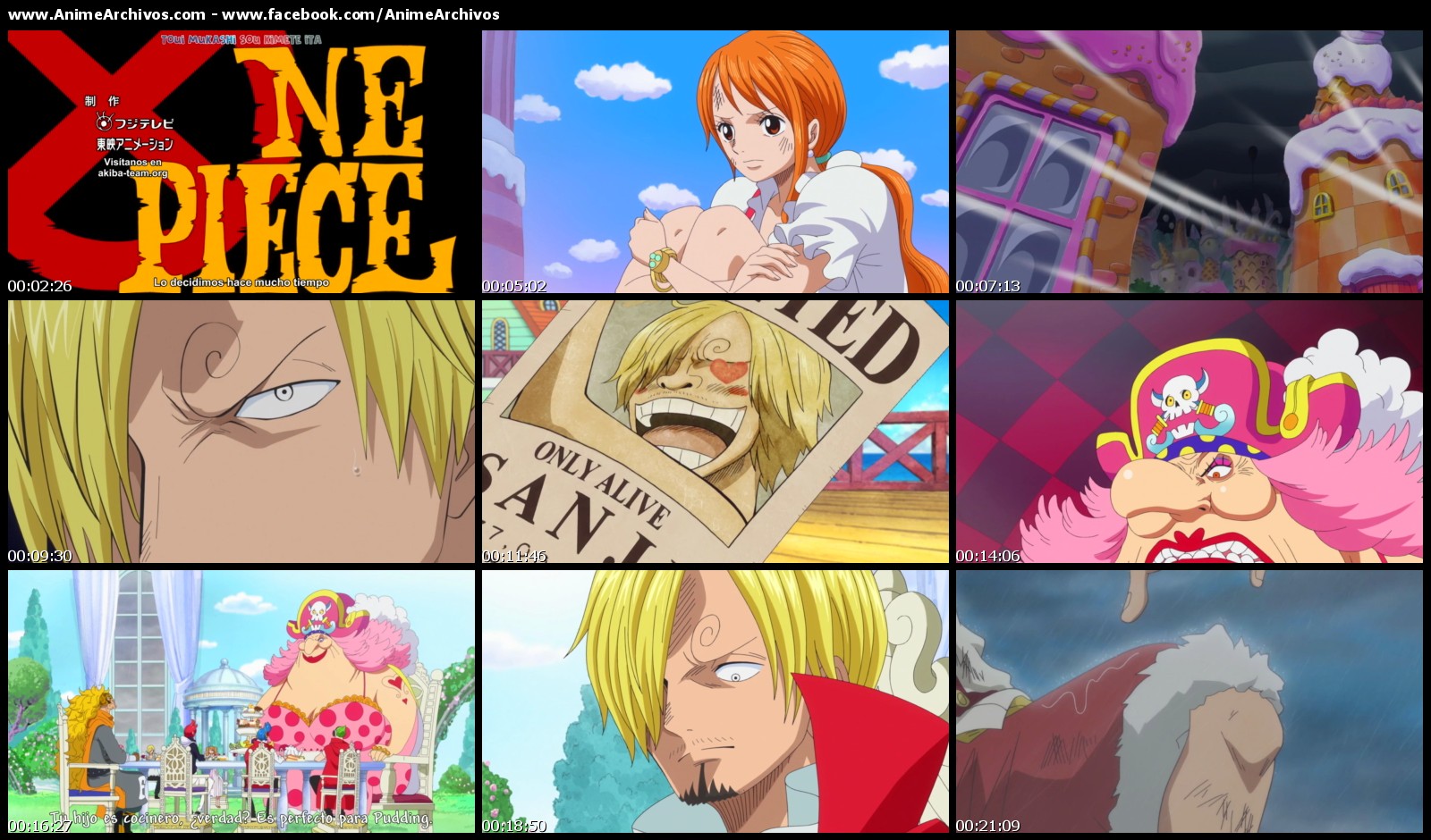 One Piece 809