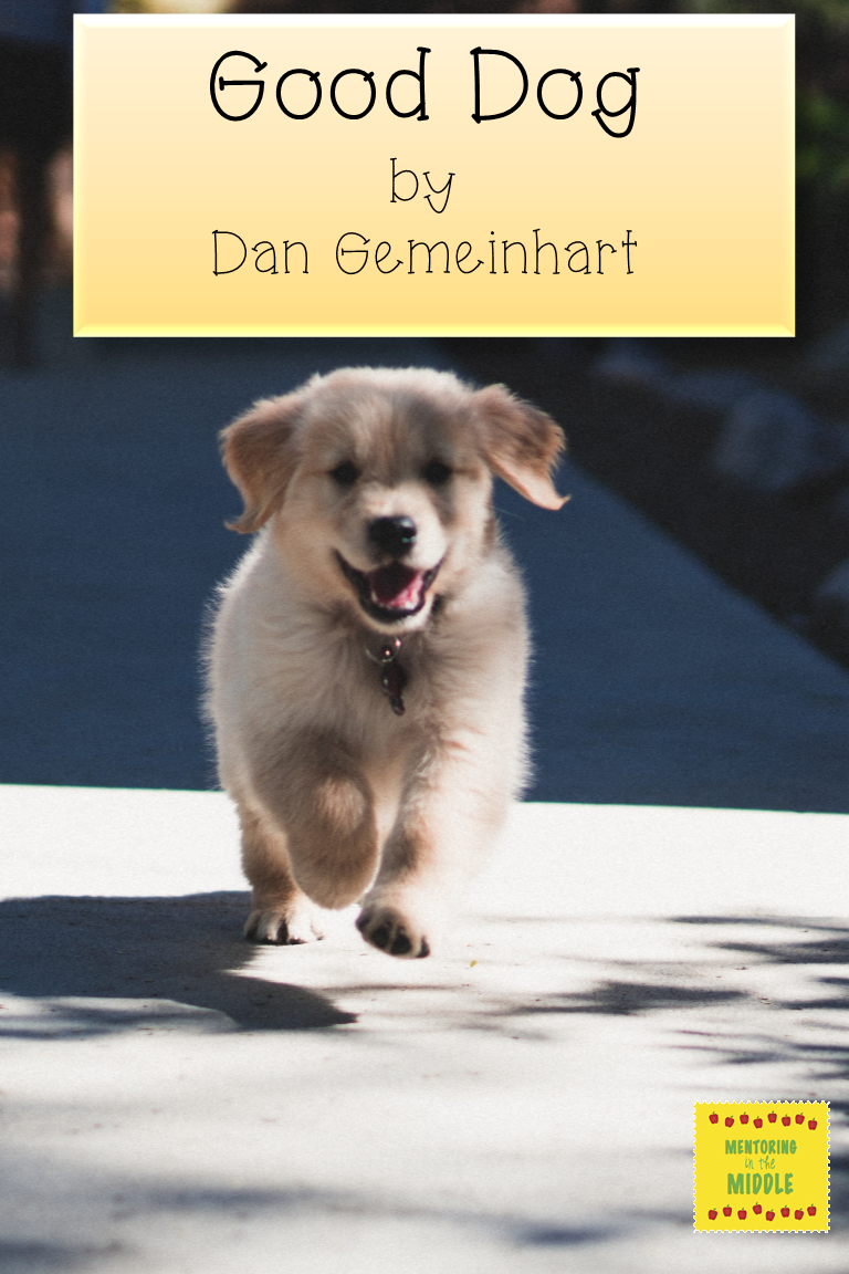 Good Dog by Dan Gemeinhart Mentoring in the Middle