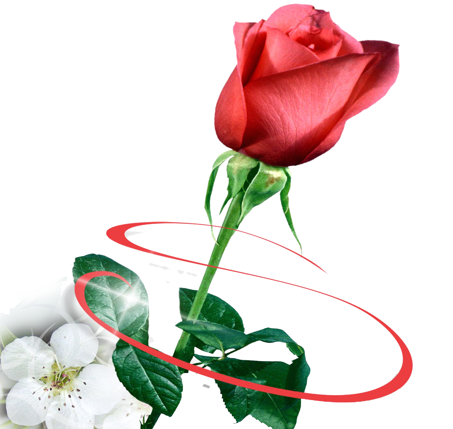 8 март табрик. 8 martga sherlar. цветы для любимой. 8 март билан. 8 martga sherlar.