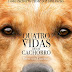 Trailer de "Quatro Vidas De Um Cachorro"