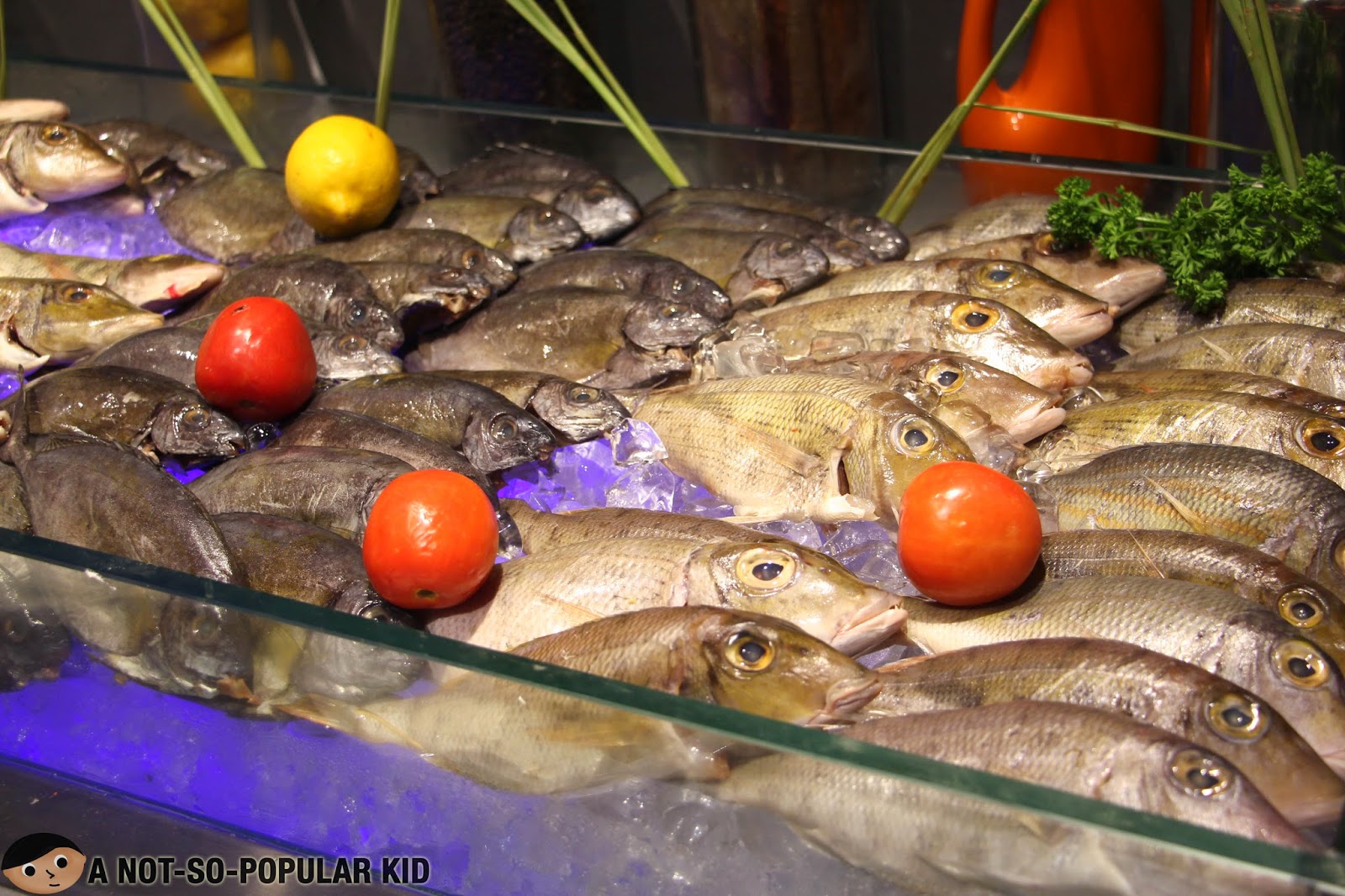 Fresh Fish for Grilling in Vikings