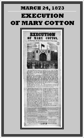 Unknown Gender History: Mary Ann Cotton, English Serial Killer - 1873