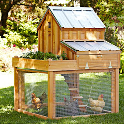 chicken run coops coop chickens expensive plans elegant coup sonoma williams dose terrierman daily backyard
