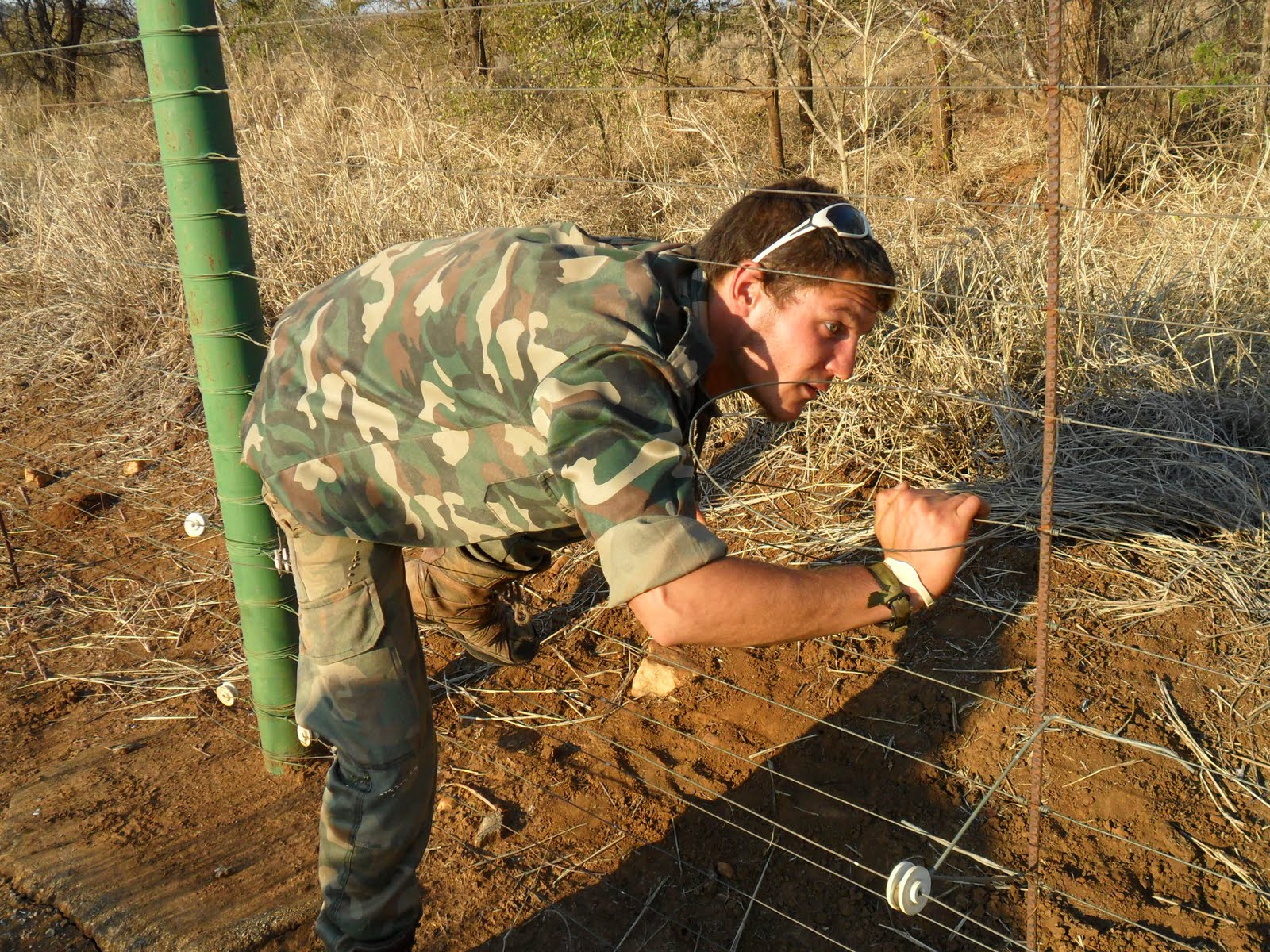 Stone Ranger Meat Poachers