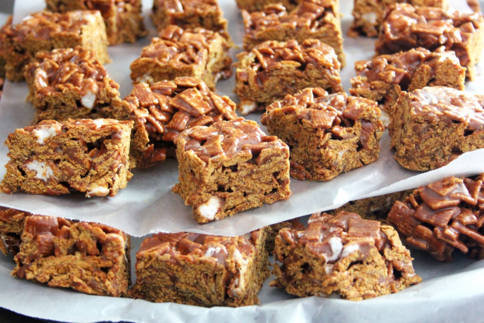 Punkie Pie's Place Golden Grahams S'mores Bars