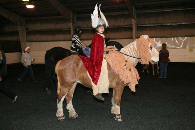 carnival costumes for animals