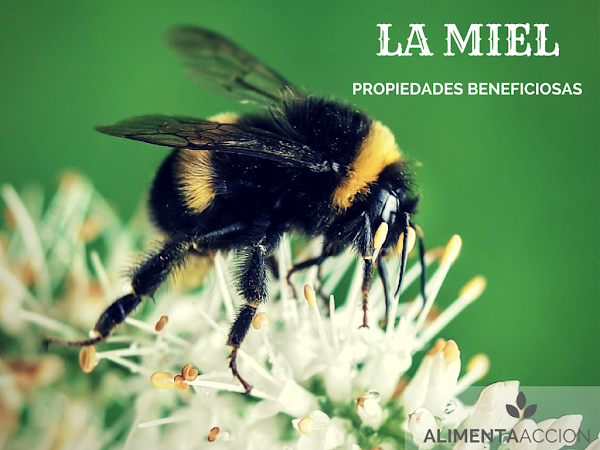 propiedades de la miel, miel salud