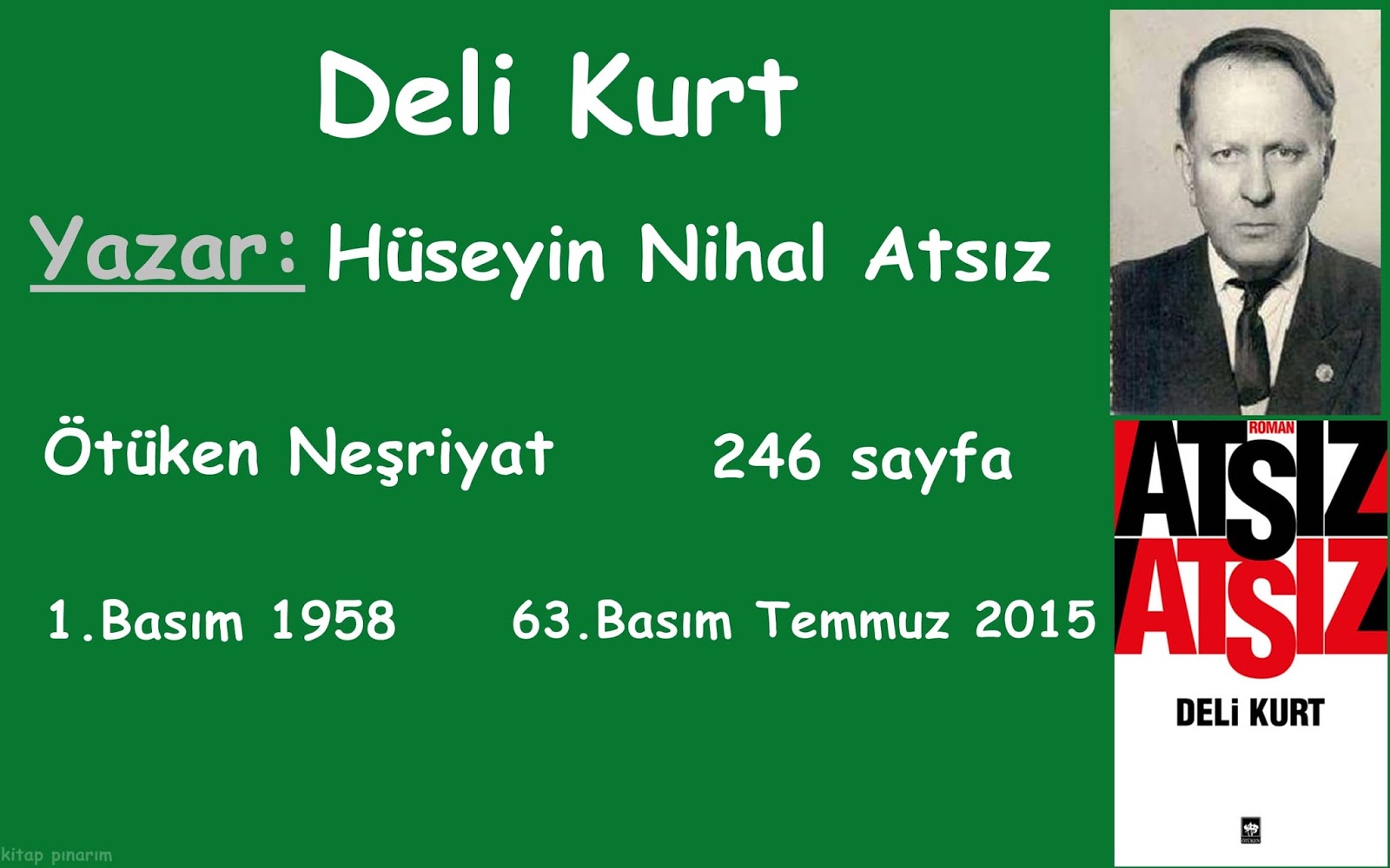 Huseyin Nihal Atsiz Seti 21 Kitap Takim Bkmkitap Com
