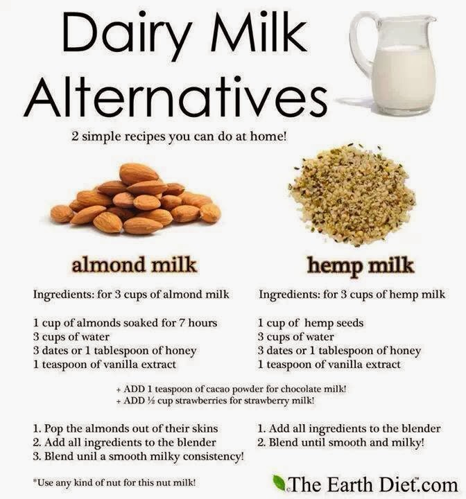 Stranger in a Strange Land Dairy Milk Alternative Recipes 2 Simple