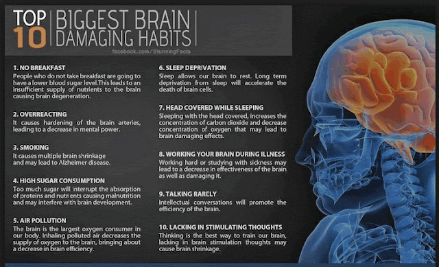 Top 10 brain damaging habits